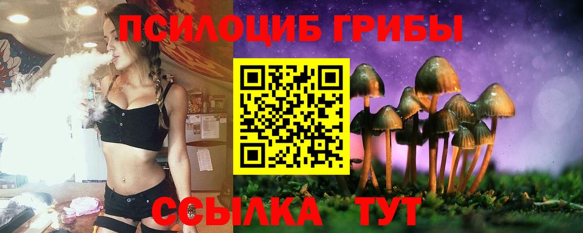 Псилоцибиновые грибы ЛСД  Вход с VPN  Касимов 