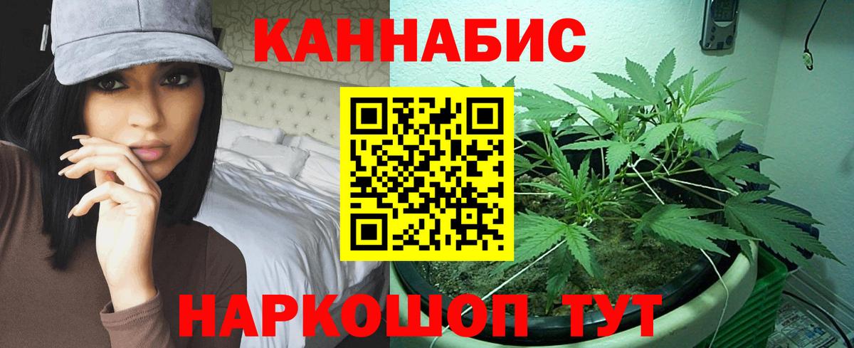 Касимов  Каннабис планчик  Канабис MAZAR  Бошки Шишки тримм  Вход с VPN  Бошки марихуана VHQ 